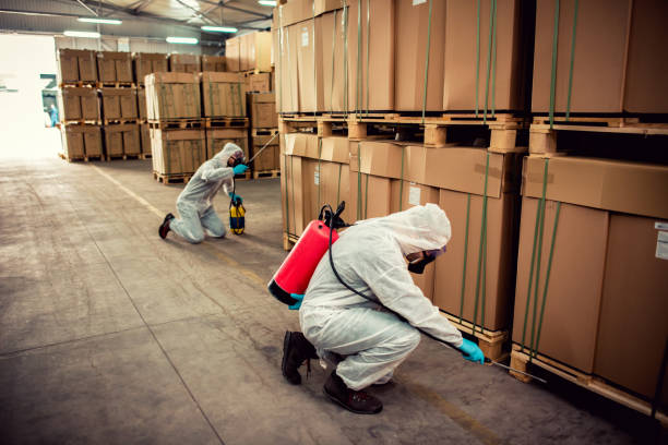 Professional Pest Control in East Moriches, NY