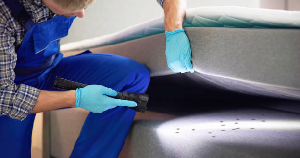 Best Flea Control Services  in East Moriches, NY
