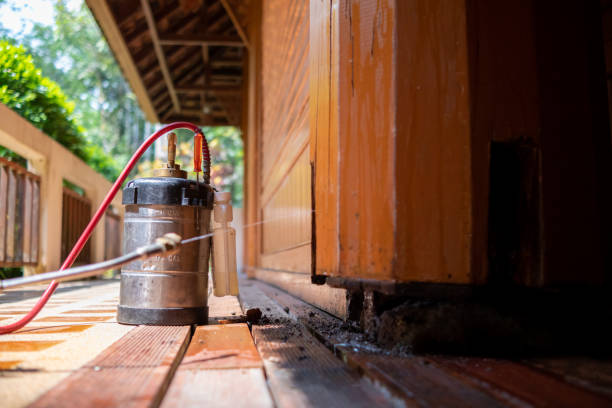 Best Pest Prevention Services  in East Moriches, NY